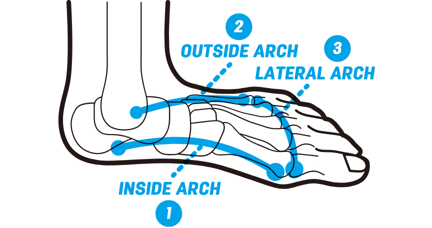 1.INSIDE ARCH, 2.OUTSIDE ARCH, 3.LATERAL ARCH